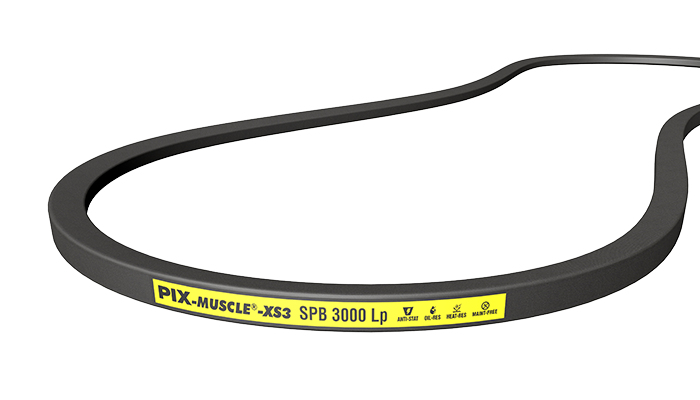 PIX-MUSCLE XS3